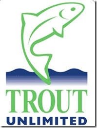 trout fishing tours launceston
